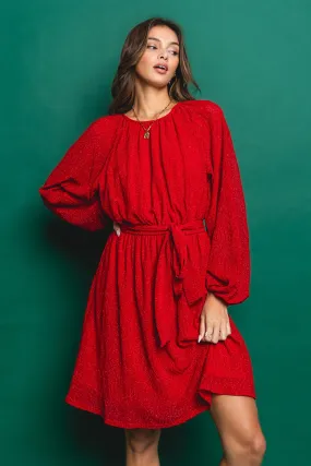Christmas Sparkle Dress