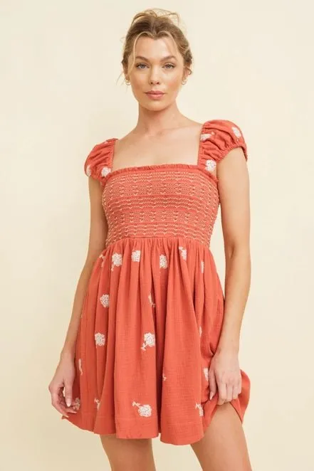 Country Lane Embroidered Mini Dress