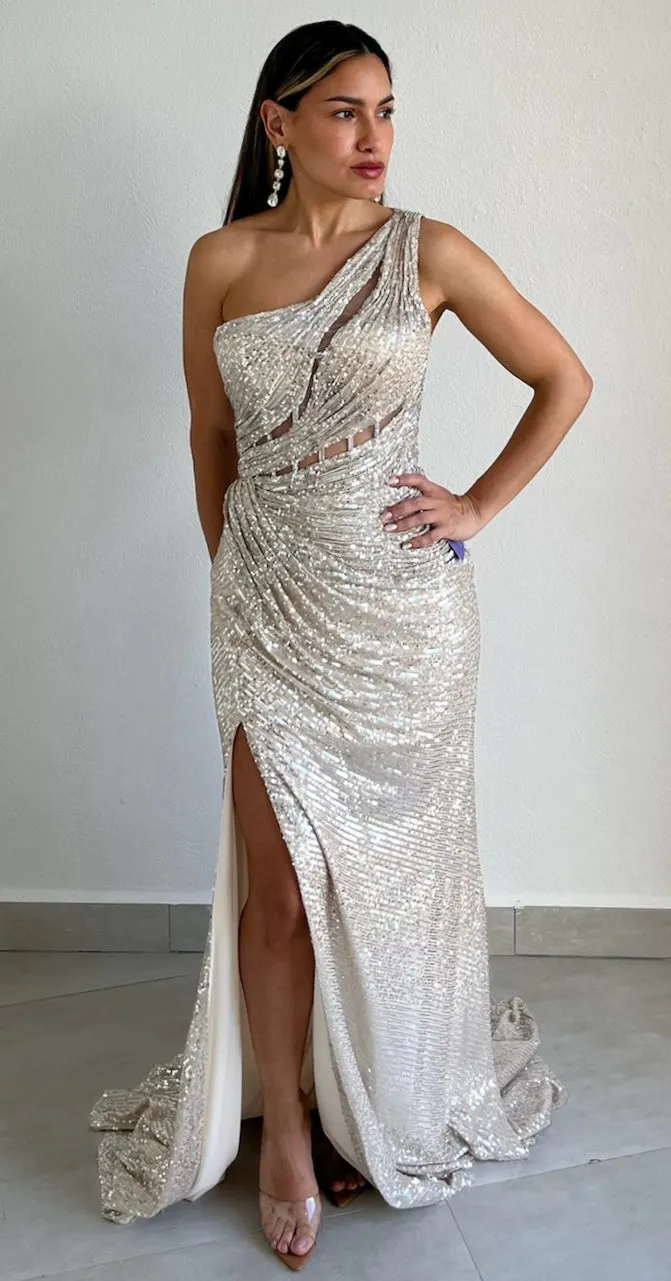 Exquisite Redinement Platinum Sequins Formal Gown