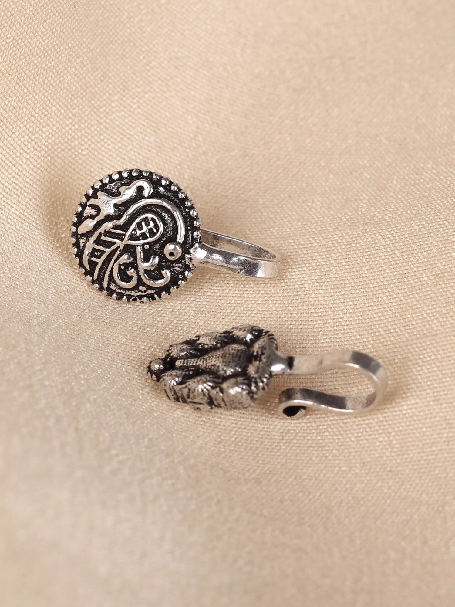 Quirky Appeal Two Nose Pins